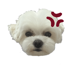dogdogbabyu