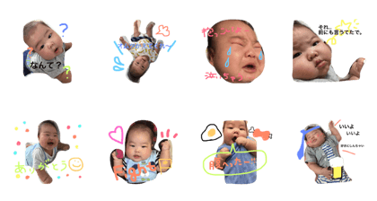 hatamina