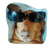 jack-spllow