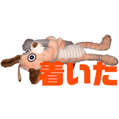 hana_20210423081457