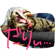 ie neko