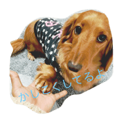 my name is coko