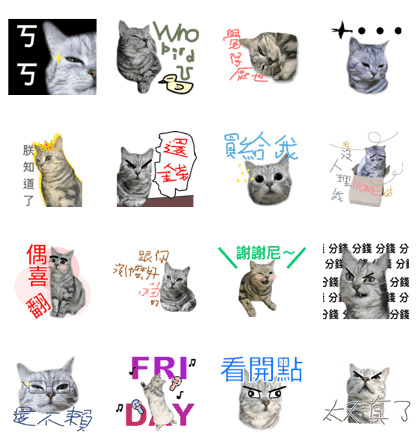 Cute Cats Love Togather 2