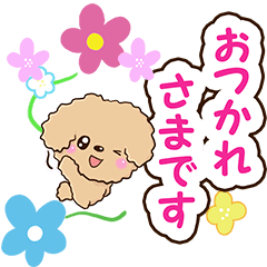 Flowers and Toy poodle2