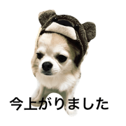 Ri-chan's daily life