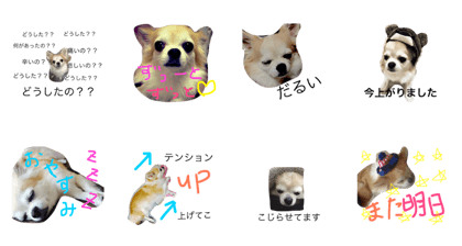 Ri-chan's daily life
