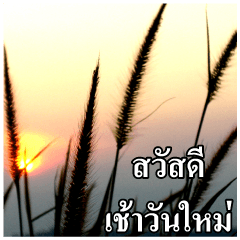 บทความภาพภาษาไทย