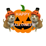 KAWASE Family nyanko    Halloween