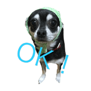 chikun