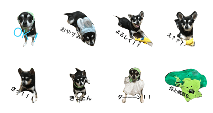 chikun