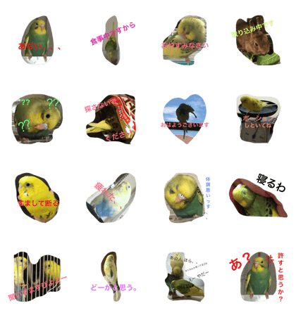 piyotann's