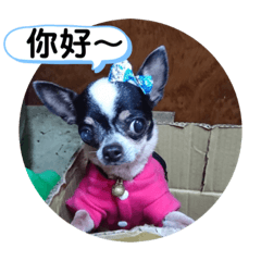 我是妞妞小可愛
