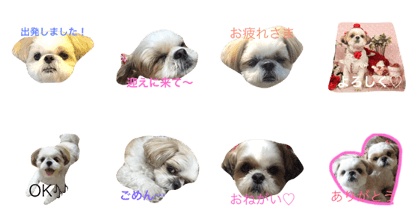 LOVE OUR DOGS