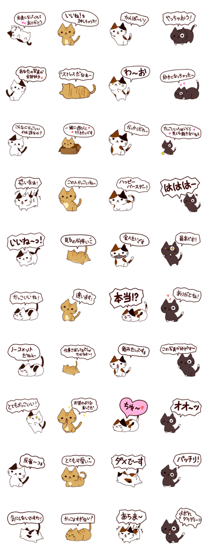 Funny Cat Japanese