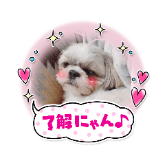 miki_20210423123808