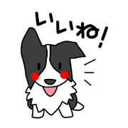Love Love Border collies! 10