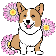 MAY the Welsh Corgi