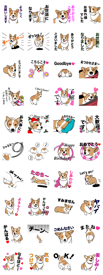 MAY the Welsh Corgi