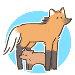 armadillo bush dog manedwolf