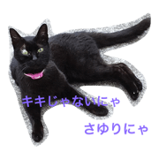 black cat sayuri
