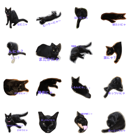 black cat sayuri