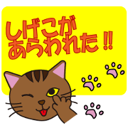 Shigeko's daily life
