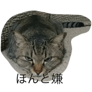 kumicho