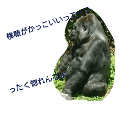 cool and cute animal