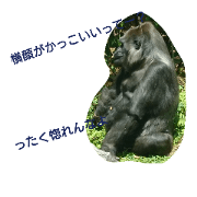 cool and cute animal
