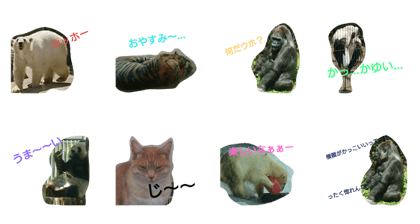 cool and cute animal
