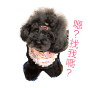 lovely Milu