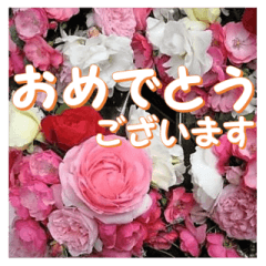 Greetings message of the rose_Assort7_J