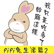 FiFi daily2