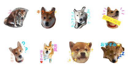 LOVE! Ouchan