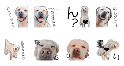 happichan