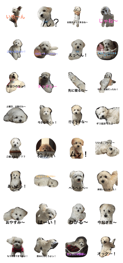 dog chamu