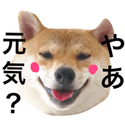 Haru and Suzu