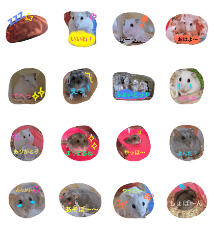 love my hamster