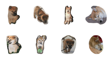 SHIBA_kai