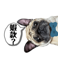 偶是NaNa-2! 《新版出爐》