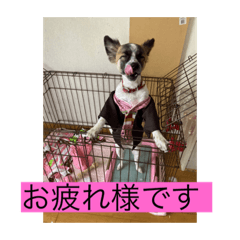 hANA_20210423165928