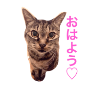 choco3