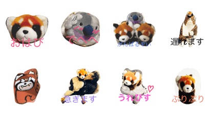 kawaii red pandas!