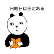 DEAR PANDA3
