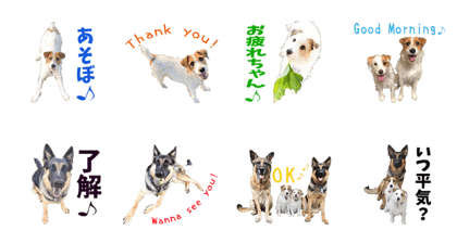 CHAPISHERULINO'S Sticker