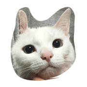 chi-chan1