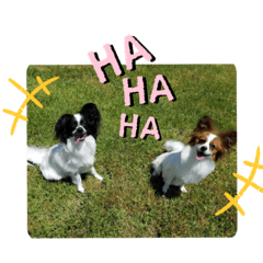 mizuki_20210423171414