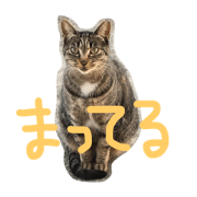ktgw