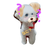 ram  tino