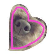 aikennosutanpu